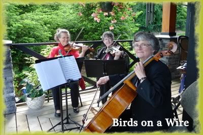 Birds on a Wire
